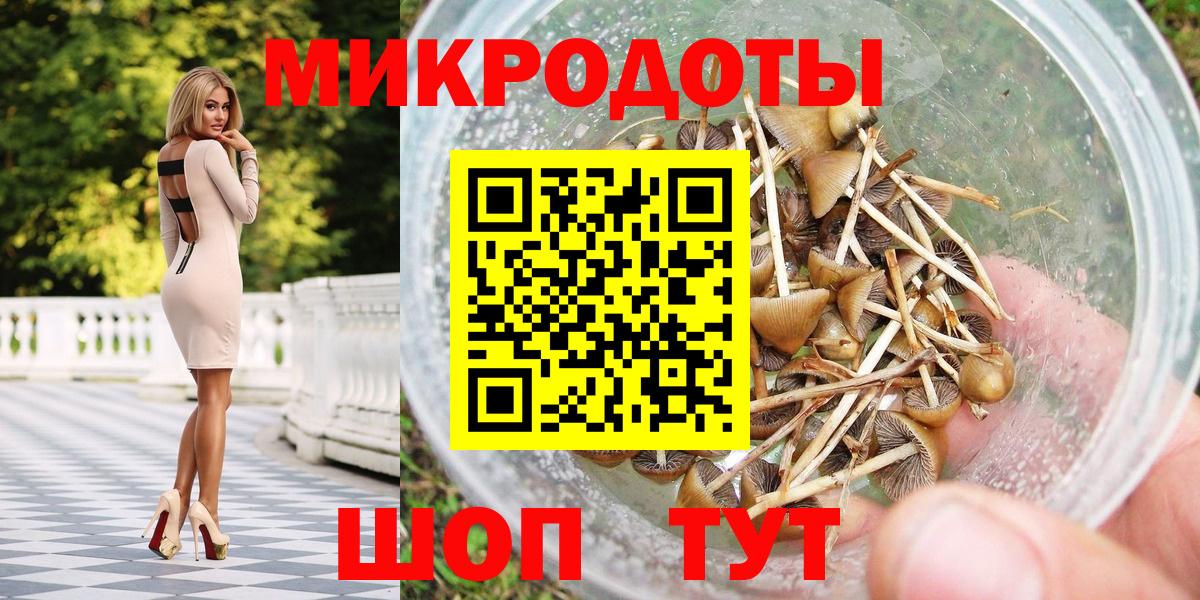 Галлюциногенные грибы Psilocybe  где найти   Новоалтайск  Вход с VPN 